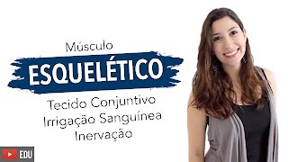 Músculo Esquelético 26 Tecido Conjuntivo Irrigação Sanguínea e Inervação  Anatomia e etc [upl. by Boehmer742]