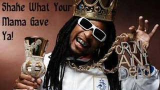 Lil Jon  Shake What Your Mama Gave Ya [upl. by Adnek462]