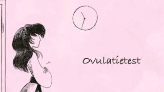 Ovulatietest [upl. by Asssilem]