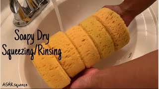 Soapy Dry Squeezing and Soapy Sponge RinsingASMRsqueeze [upl. by Winikka896]