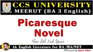 Picaresque novel  Picaresque novel Explain In Hindi  Picaresque novel In English Literature [upl. by Atileda75]