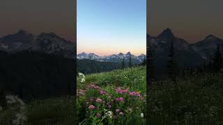 Those look like subalpine spirea and alpine asters [upl. by Leahci]