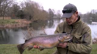 Stalking Big Brown Trout  Fly Fishing Lechlade [upl. by Latsryc]