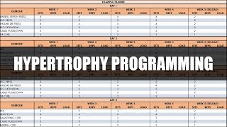 Complete Programming and Periodization for Hypertrophy Training  How to Write a Hypertrophy Program [upl. by Yecies]