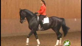 Catherine Haddad Staller on Skeletal Riding and Basics Every Dressage Rider Should Know [upl. by Elleirua]