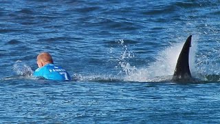 Surfista australiano sobrevive a ataque de tiburón [upl. by Kone628]