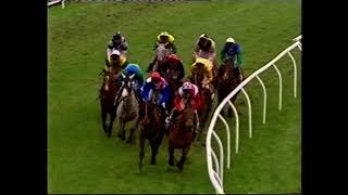 2001 Singer amp Friedlander National Trial Handicap Chase [upl. by Row217]