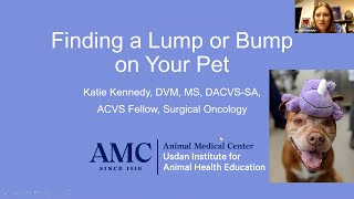 Lumps and Bumps on Dogs and Cats [upl. by Sainana]