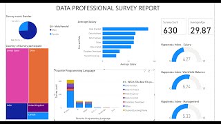 POWER BI PROJECT DATA PROFESSIONAL SURVEY REPORT [upl. by Styles583]