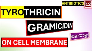 Antimicrobial Peptides Gramicidin Tyrocidine Tyrothricin cell membrane Inhibitors Malayalam [upl. by Hauge845]