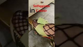 Solfeggietto in C minor shorts  piano pedal cover [upl. by Eylrahc195]