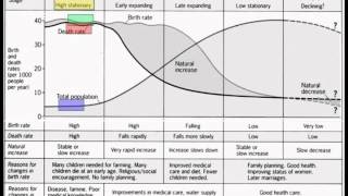 Unit 2  Demographic Transition and Population Pyramids [upl. by Minette]