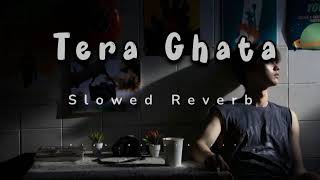 Tera Ghata Slowed  Reverb New Song better experience [upl. by Denzil561]