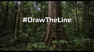 Draw the Line  VR [upl. by Budd]