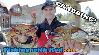 How to Fish Crabbing in Vancouver [upl. by Bonnette]