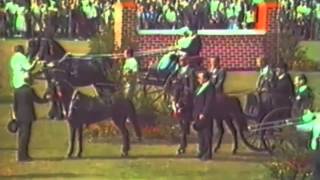 Deel 3 Concours Hippique en Feestweek Buitenpost 1983 [upl. by Raine]