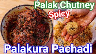 Palak Ki Chatni  Palakura Pachadi Andhra Style  Multipurpose Spinach Chutney for Rice Idli amp Dosa [upl. by Eimaraj]