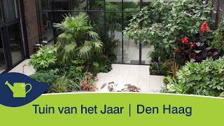 Tuin van het Jaar 2018 ‘Tropische verrassing’tuin in Den Haag genomineerd [upl. by Halyhs565]