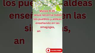 quotEl Ministerio de Jesús Predicando Enseñando y Sanandoquot Mateo 935shorts youtube yt short [upl. by Peppie]