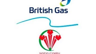 LIVE British Gas  Swim Wales Summer Nationals 2013 S18 [upl. by Sylvie]