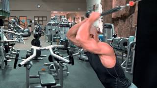 Overhead Cable Tricep Extension [upl. by Ameg]