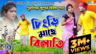 চিংড়ি মাছে বিলাতি  Chingri Macha Bilati  MiraDas amp NiranjanMahato  New Purulia Song 2022 [upl. by Rahal]