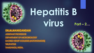 Hepatitis B virus Part 2  Replication Pathogenesis Lab diagnosis and treatment [upl. by Millda213]