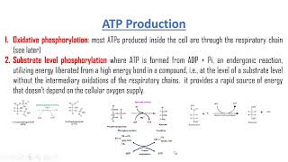 ATP production biological oxidation and Respiratory chain [upl. by Holden]