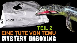 Mystery Unboxing  eine Tüte von Temu  Juni 2024  Teil 2 von 2  Fazit  Meinung  Danke Less [upl. by Atahs]