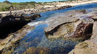 Beautiful Kilcunda beach australia beach fun [upl. by Schrader709]