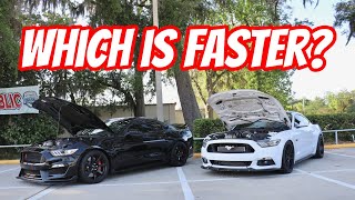 Whipple Supercharged Shelby GT350R vs Whipple Mustang GT [upl. by Enileda379]