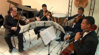 Andante Grazioso  W A Mozart violin cover [upl. by Alonso]