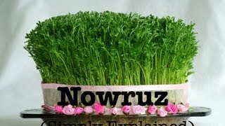 Nowruz Simply Explained نوروز [upl. by Zorine]