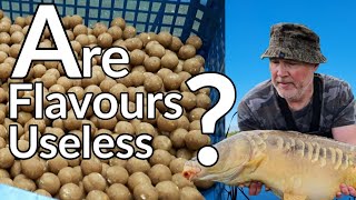 Making simple but nutritious naturally flavoured boilies [upl. by Jollanta233]