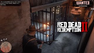 Secret Way To Kill Micah in RDR2 [upl. by Haseefan518]