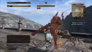 【DDON】 ファイターをやりたくなる動画 vsベルトモゴック [upl. by Lesna]