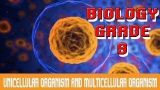 The Cell  Unicellular amp Multicellular Organisms  Introduction amp Comparison  Part 5 [upl. by Hasan]