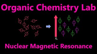 Proton Nuclear Magnetic Resonance ¹HNMR  Organic Chemistry Lab Techniques [upl. by Aloise]