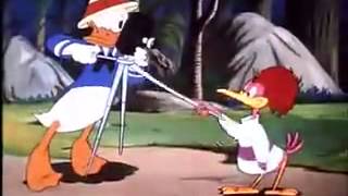 Donald Duck Cartoons Full Episodes Donald Duck Clown Of The Jungle NEW video [upl. by Enaxor]