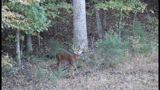 Parsons Outdoors Episode III NC Deer Hunting [upl. by Cilegna]