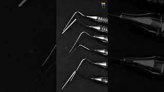 Waldent Root Canal Pluggers Set of 6 K153  Precision Dental Instruments for Root Canal Treatment [upl. by Lynnworth]