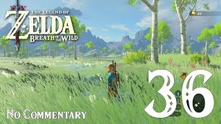 Breath of the Wild Ep36  Sunken Scoop amp Moor Garrison Ruins  No Commentary [upl. by Tremayne]