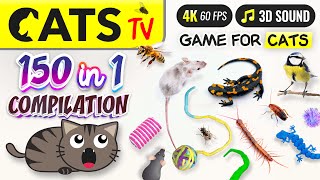 CAT TV  150 in 1 Ultimate Compilation 🙀🐭🐝 Game for cats 🕚 10 HOURS 4K [upl. by Idoc455]