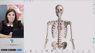 Tips amp Tricks in Complete Anatomy  Live [upl. by Sulokcin295]