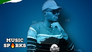 Salone Oldies Mix Throwback by Dj Fred Max  Sierra Leone Music 2000s 🇸🇱  Volume 9  Music Sparks [upl. by Oakes257]