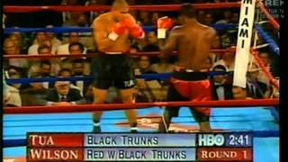 David Tua vs Darroll Wilson 20091996 [upl. by Armalla497]