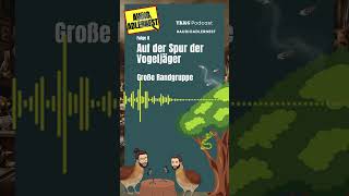 Große Randgruppe  TKKG Folge 8 quotAuf der Spur der Vogeljägerquot [upl. by Nwahsid399]