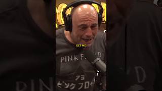 Five Different Teams Looking for Trump  Joe Rogan [upl. by Semyaj616]