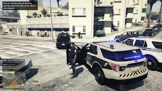 Patrolling With Officer Marty LSPDFR Pennsylvania Pittsburgh Patrol 2 Police Mod [upl. by Adnanref]