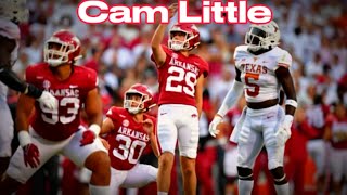 Best Kicker In The Nation  Cam Little Arkansas Football Highlights [upl. by Kobylak]